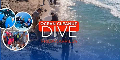 Ocean Cleanup Dive 