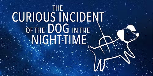 The Curious Incident Of The Dog In The Night-Time