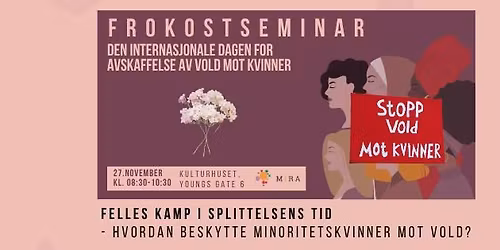 Frokostseminar: Felles kamp i splittelsens tid -Hvordan beskytte minoritetskvinner mot vold? 