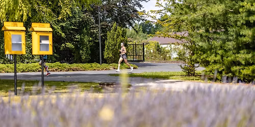 Botaniczna Pi\u0105tka Warszawa - edycja letnia