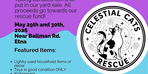 Route 40 Yard Sale