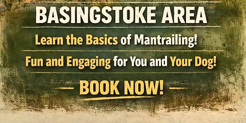 mantrailing intro basingstoke
