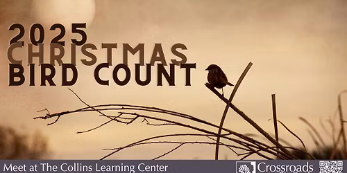 2025 Christmas Bird Count