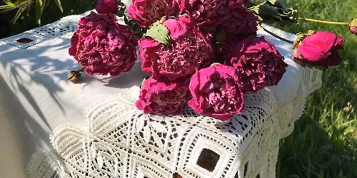 Dried Peony Wreath Workshop in Gig Harbor