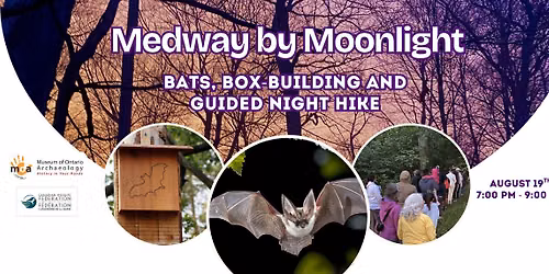 Medway by Moonlight: Bats, Box-Building and Guided Night Hike