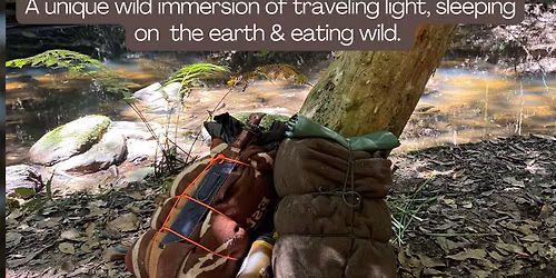 6 Day Nomadic Bushcraft Immersino