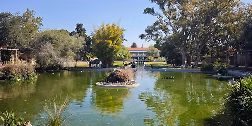 Caminhada no Parque Florestal de Monsanto