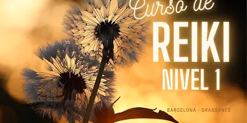 Curso de Reiki original japon\u00e9s - Primer nivel