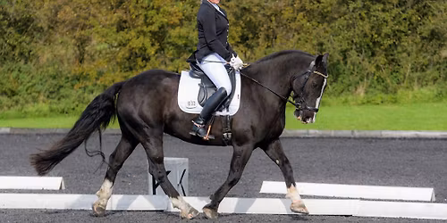Affiliated & Unaffiliated Dressage entries close Friday morning