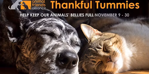 Thankful Tummies Supply Drive