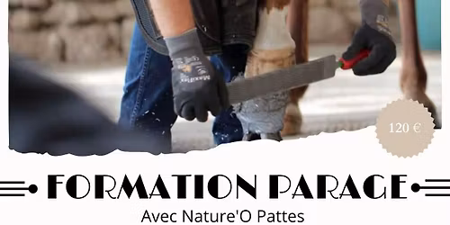 \u2728 Stage de Parage avec Nature'O Pattes \u2728\n\n