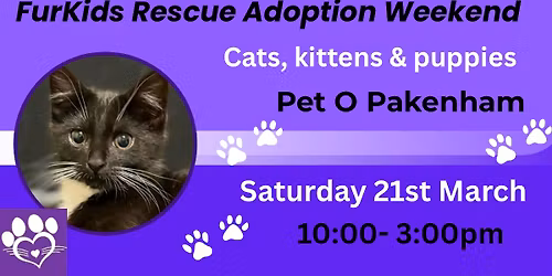 Life Changing- ADOPTION!!