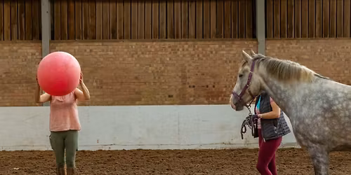 Young Horse Happy Hour