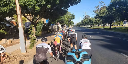 PACC Christmas Day Cruise 2025