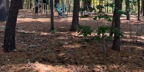 Explore & Play at Veterans Memorial Park