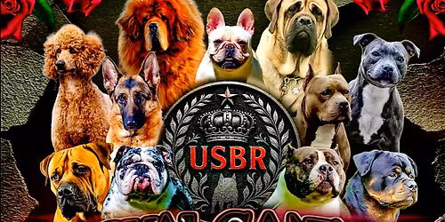 Royal Canine All Breed Show Down