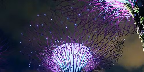 Marina Bay Night Cycling Tour