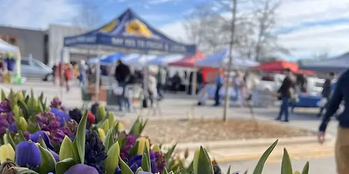 Chapel Hill Farmer\u2019s Market - Saturday
