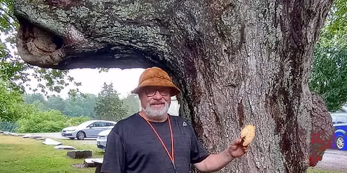 Fungus Among Us with Dave Paton