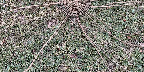 Co-imagining Futures with Indigenous Communities and the More-than-Human