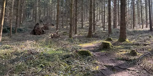 Buttonenders Wednesdays