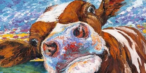 Curious Cow