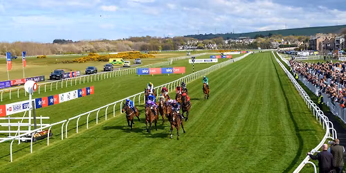 The Sky Bet Sunday Series Raceday