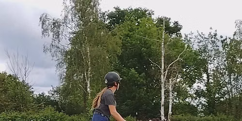 Posture cavalier et fonctionnement du cheval