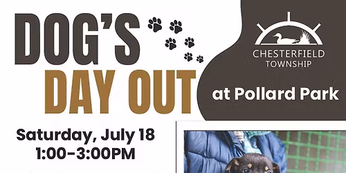 Dog's Day Out!
