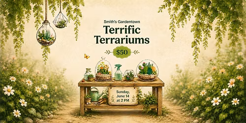 Terrific Terrariums 