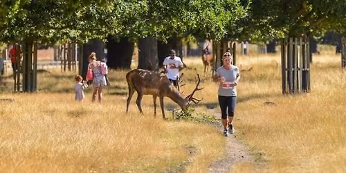 Richmond Park April 5k,10k and Half Marathon