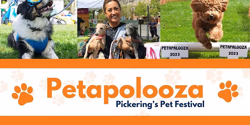 Petapolooza
