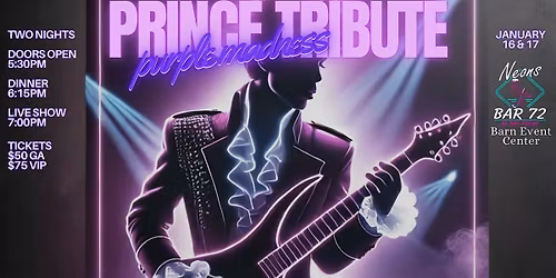 Purple Madness - A Prince Tribute - Saturday Show