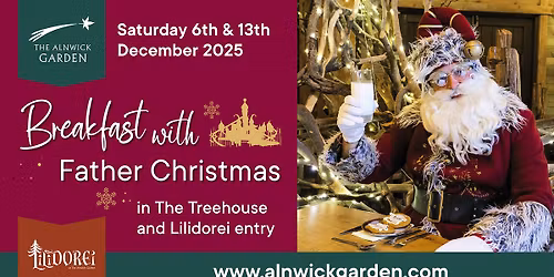 Breakfast with Father Christmas – at The Treehouse & Lilidorei play session