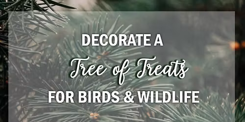 Tree of Treats at Medina\u2019s Candlelight Walk