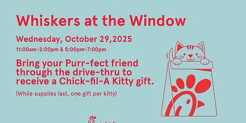 Whiskers at the Window