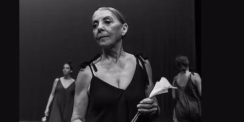 Saol 1: Beginner Contemporary 55+