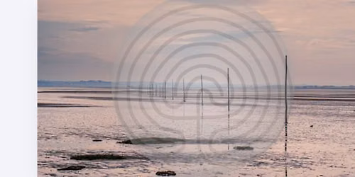 A Liminal Retreat for Autumn