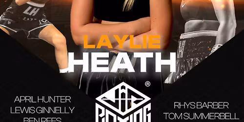 A night of professional boxing