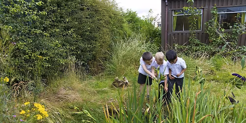 The Natural Curriculum Hub Meeting