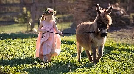 (FULL) WarAngel Farm Rescue