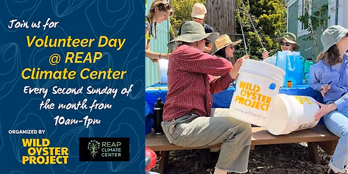 Wild Oyster Project's Monthly Volunteer Work Day (East Bay)
