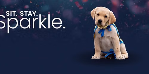 Sit. Stay. Sparkle. Seattle