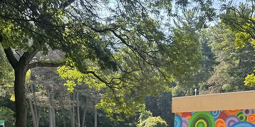 Chair Yoga with People for Palmer Park & Yoganic Flow 2026