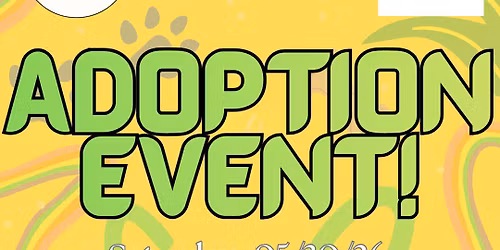 WINDHAM ADOPTION EVENT: The Grateful Dog @ Pet Supplies Plus!
