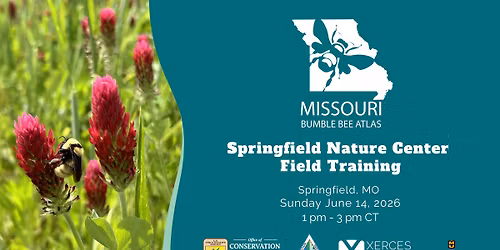 Missouri Bumble Bee Atlas Field Day at Springfield Conservation Nature Center