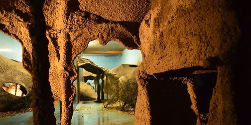 Tr\u00f6delmarkt f\u00fcr Taucher 