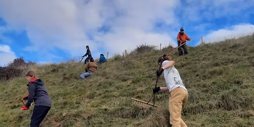 South Downs Youth Action Day: Seven Sisters (January)