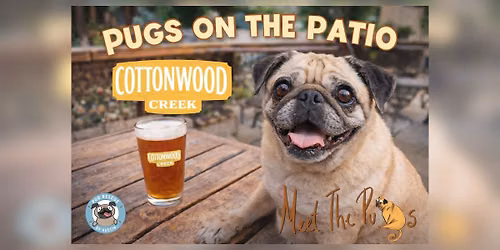 Cottonwood Creek - Pugs on the Patio