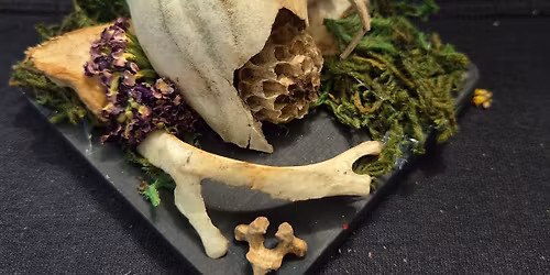 Critter Cabinet @ Lavenderfest